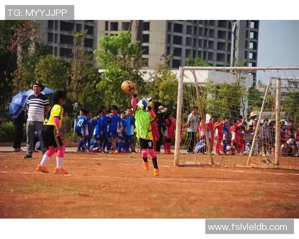 足球明星赛的历史渊源与发展历程探秘之旅