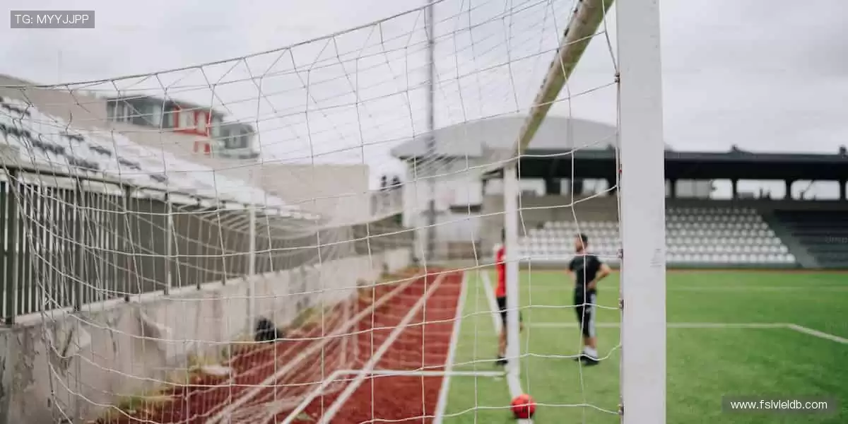 🎯【全球直播】零时差,与千万球迷同频尖叫!